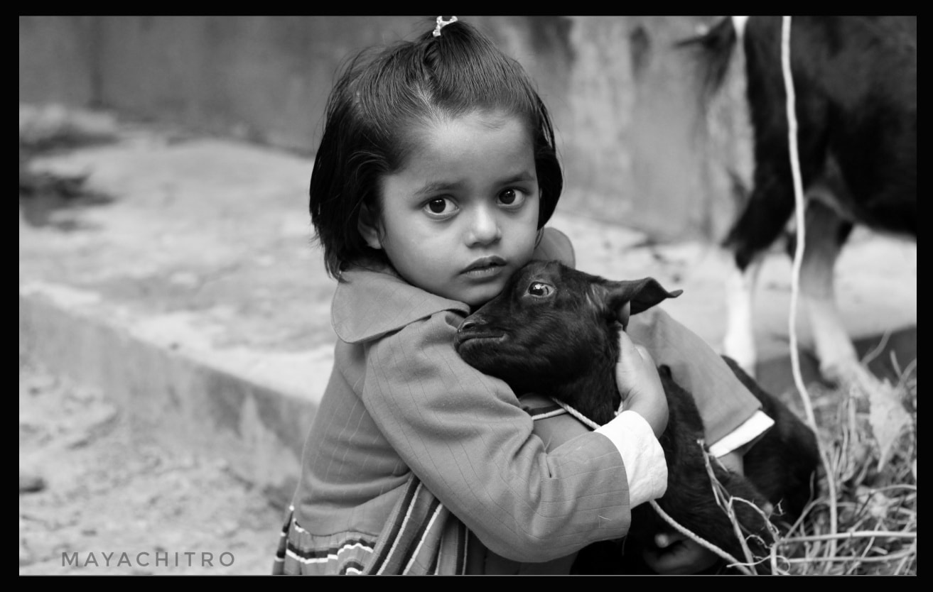 Child Holding Goat