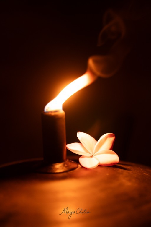 Candlelight and Frangipani