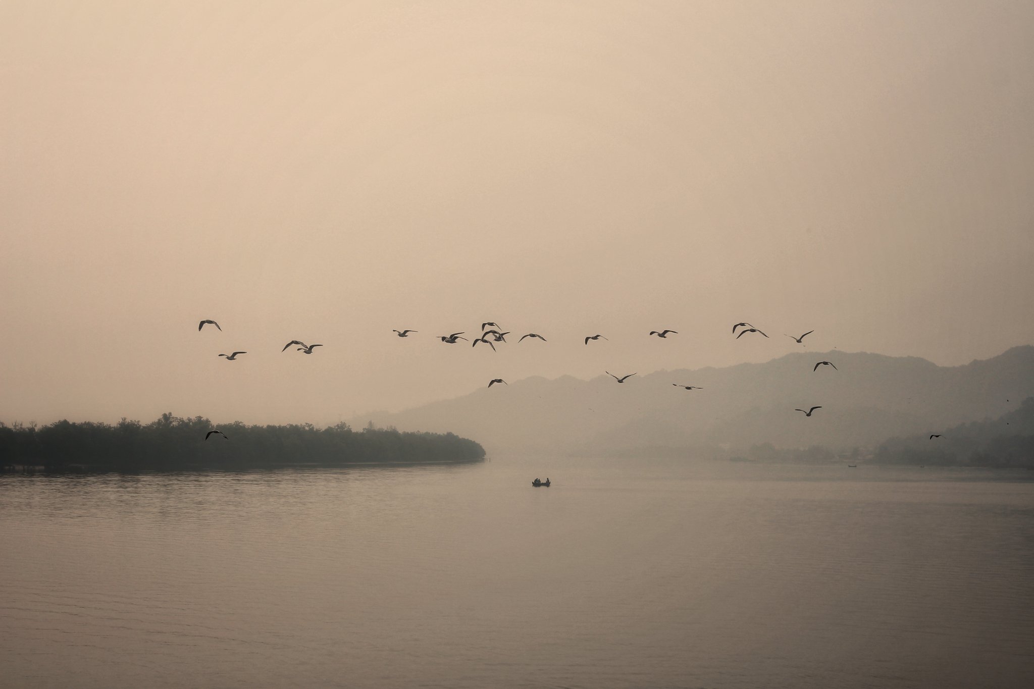 Birds Flying Misty River