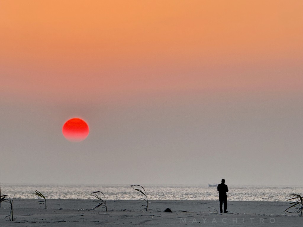 Man Watching Red Sunset on Sea Beach Silhouette Moodscape