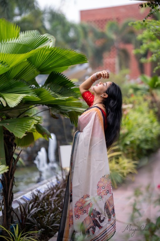 Woman with Elephant Print Saree